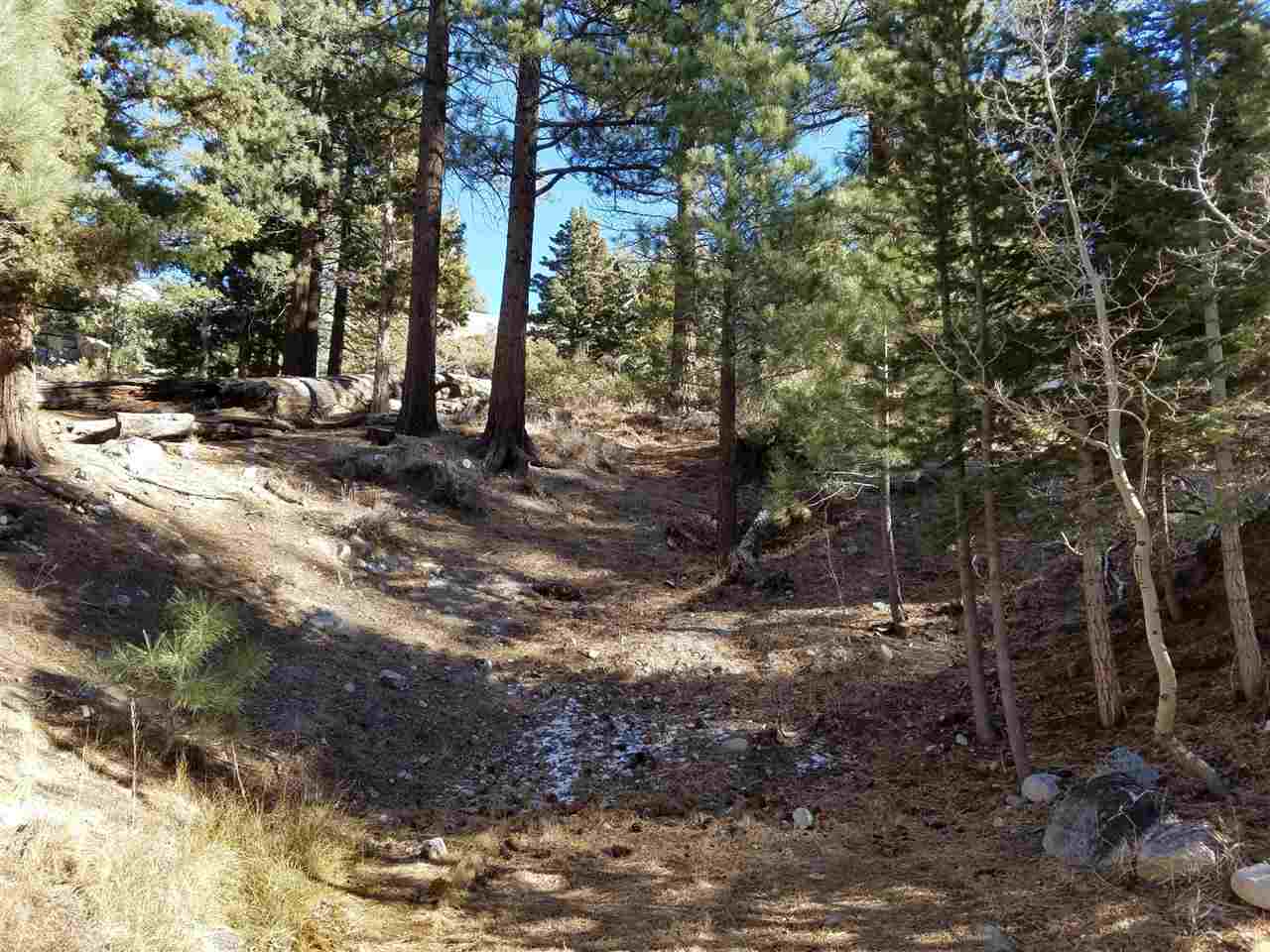 a view of outdoor space with trees