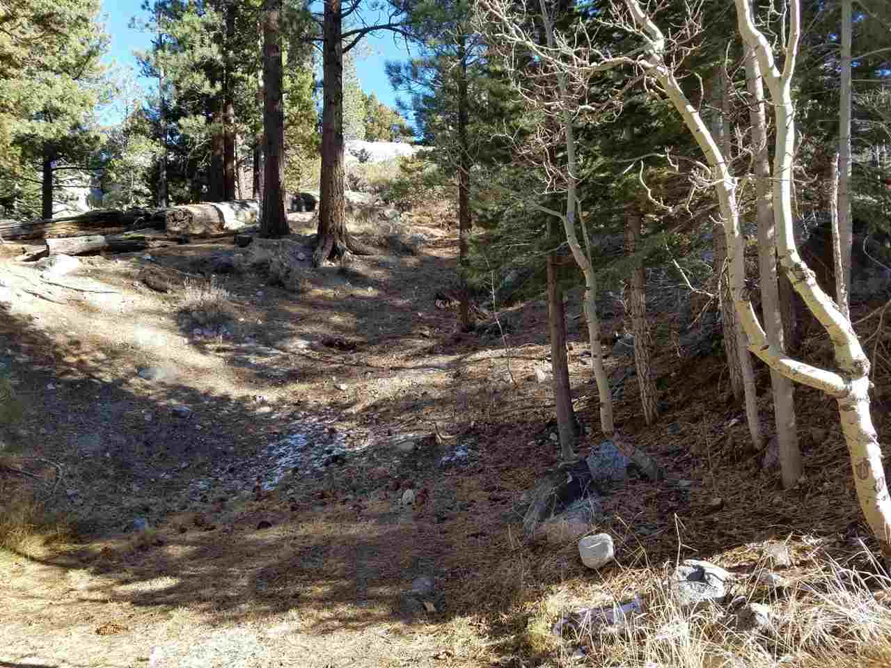 0 Aspen Road, Unit 5 June Lake, CA 93529 - Photo 2 of 8 a backyard of a house with lots of green space
