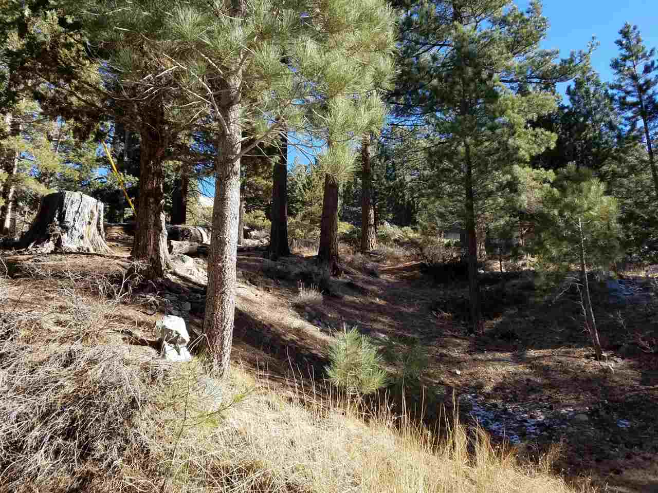 0 Aspen Road, Unit 5 June Lake, CA 93529 - Photo 3 of 8 a view of backyard