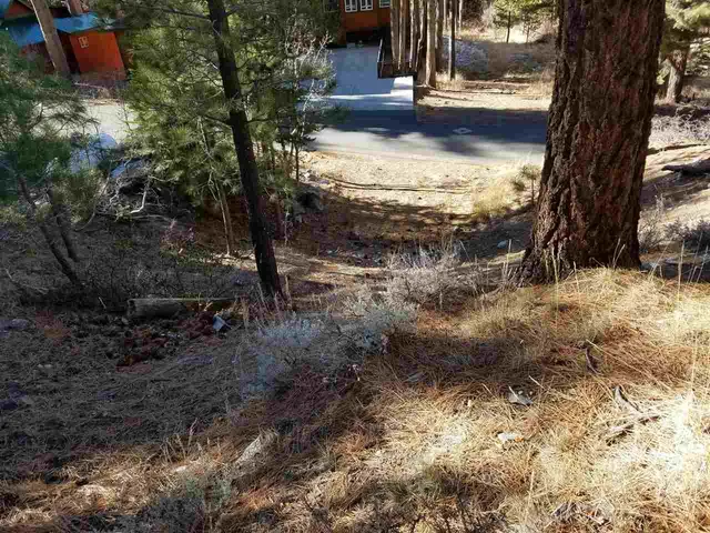 a view of yard with tree in center