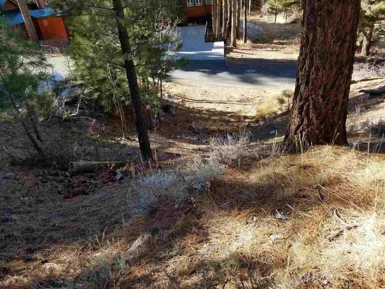 0 Aspen Road, Unit 5 June Lake, CA 93529 - Photo 4 of 8 a view of yard with tree in center