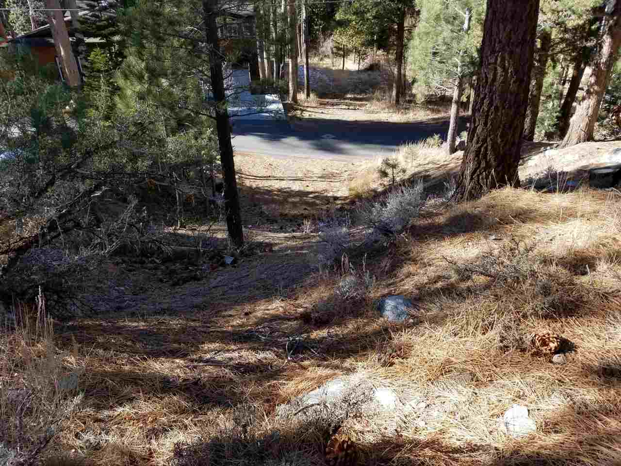 0 Aspen Road, Unit 5 June Lake, CA 93529 - Photo 5 of 8 a view of water with large trees