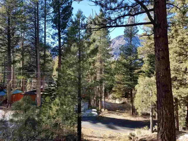 a view of swimming pool with a yard