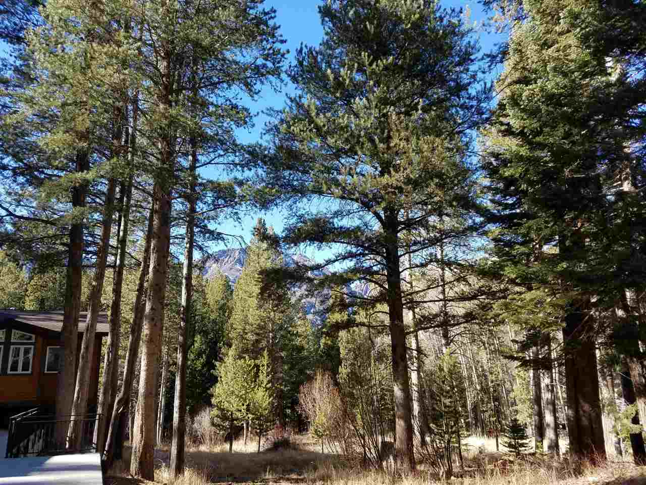 0 Aspen Road, Unit 5 June Lake, CA 93529 - Photo 8 of 8 a view of a tree