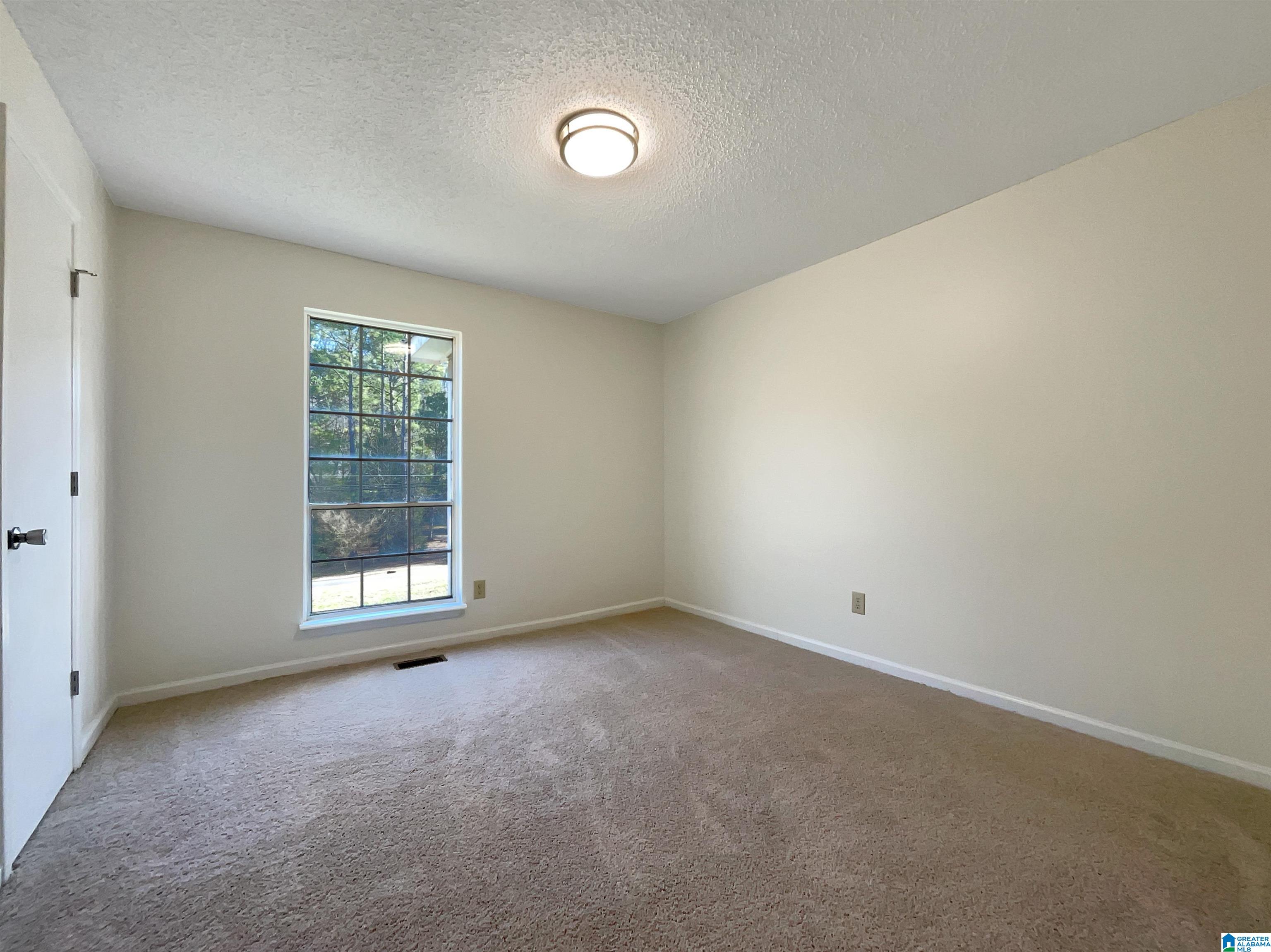 6395 Tyler Loop Road Pinson, AL 35126 - Photo 9 of 19 Gallery Image 9