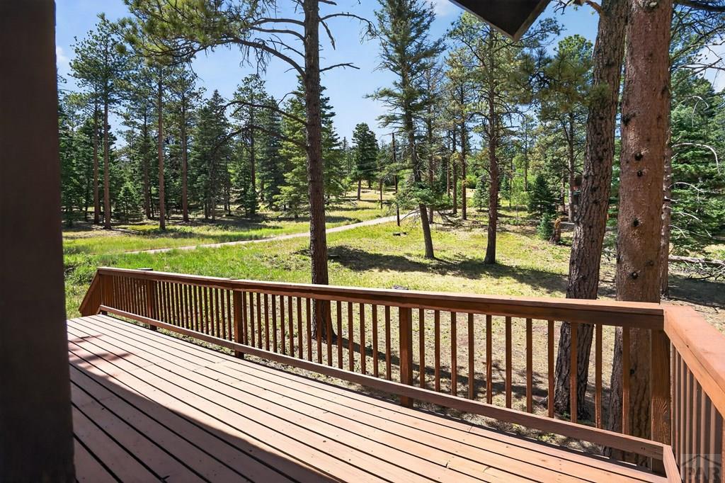 45 County Road La Veta, CO 81055 - Photo 41 of 49 Gallery Image 41