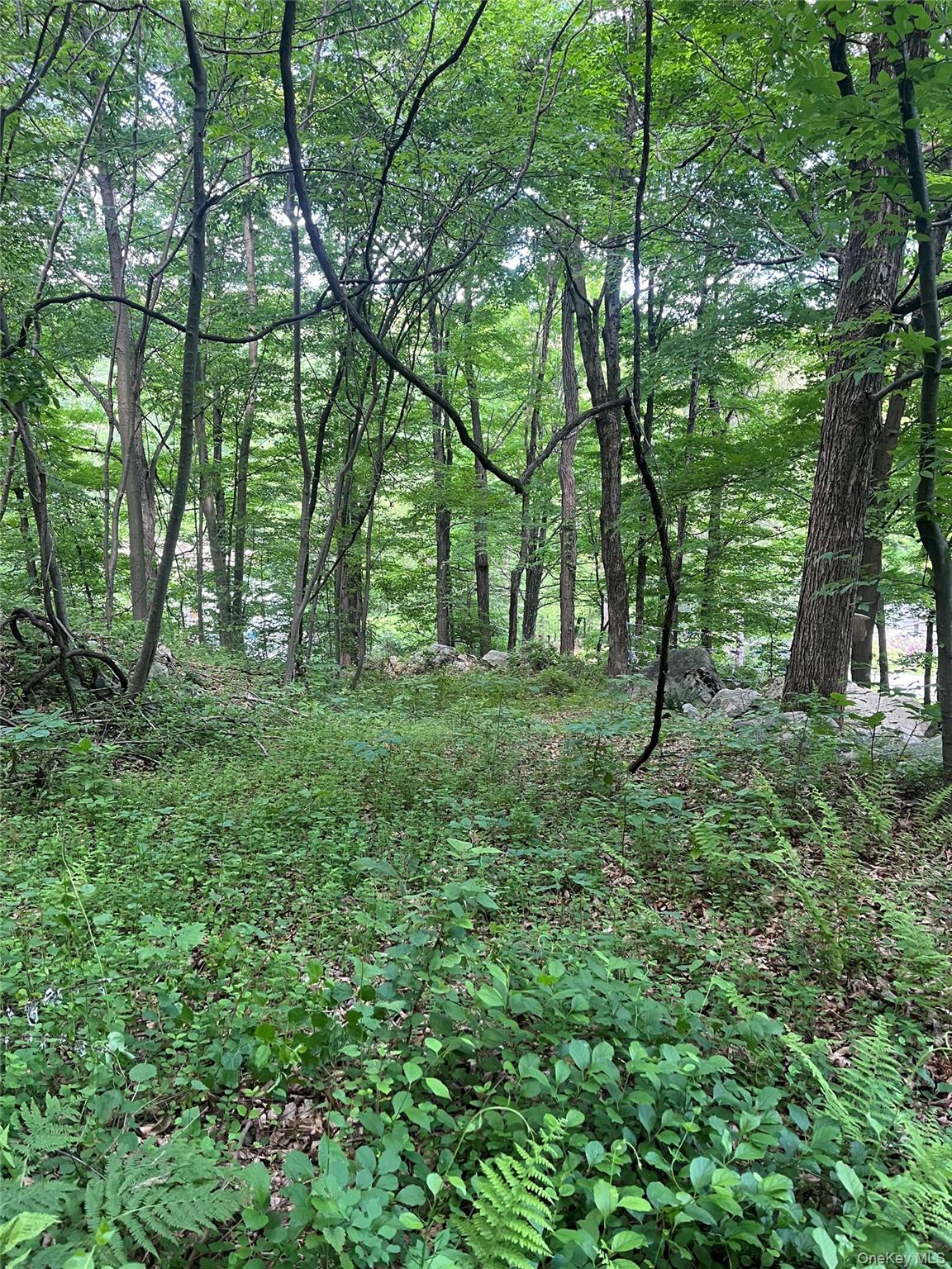 Old Church Road Putnam Valley, NY 10579 - Photo 18 of 26 a view of outdoor space and green space