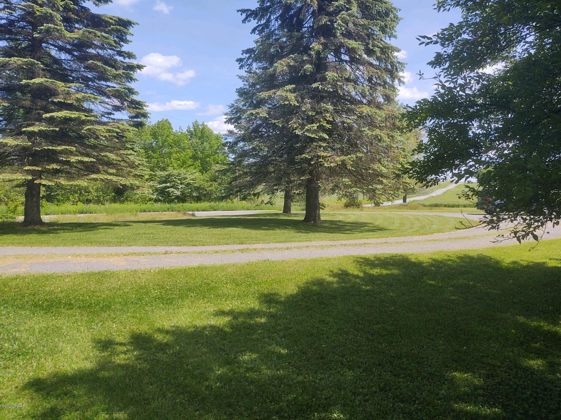 523 Cribbs Road Union Dale, PA 18470 - Photo 4 of 41 pretty pines