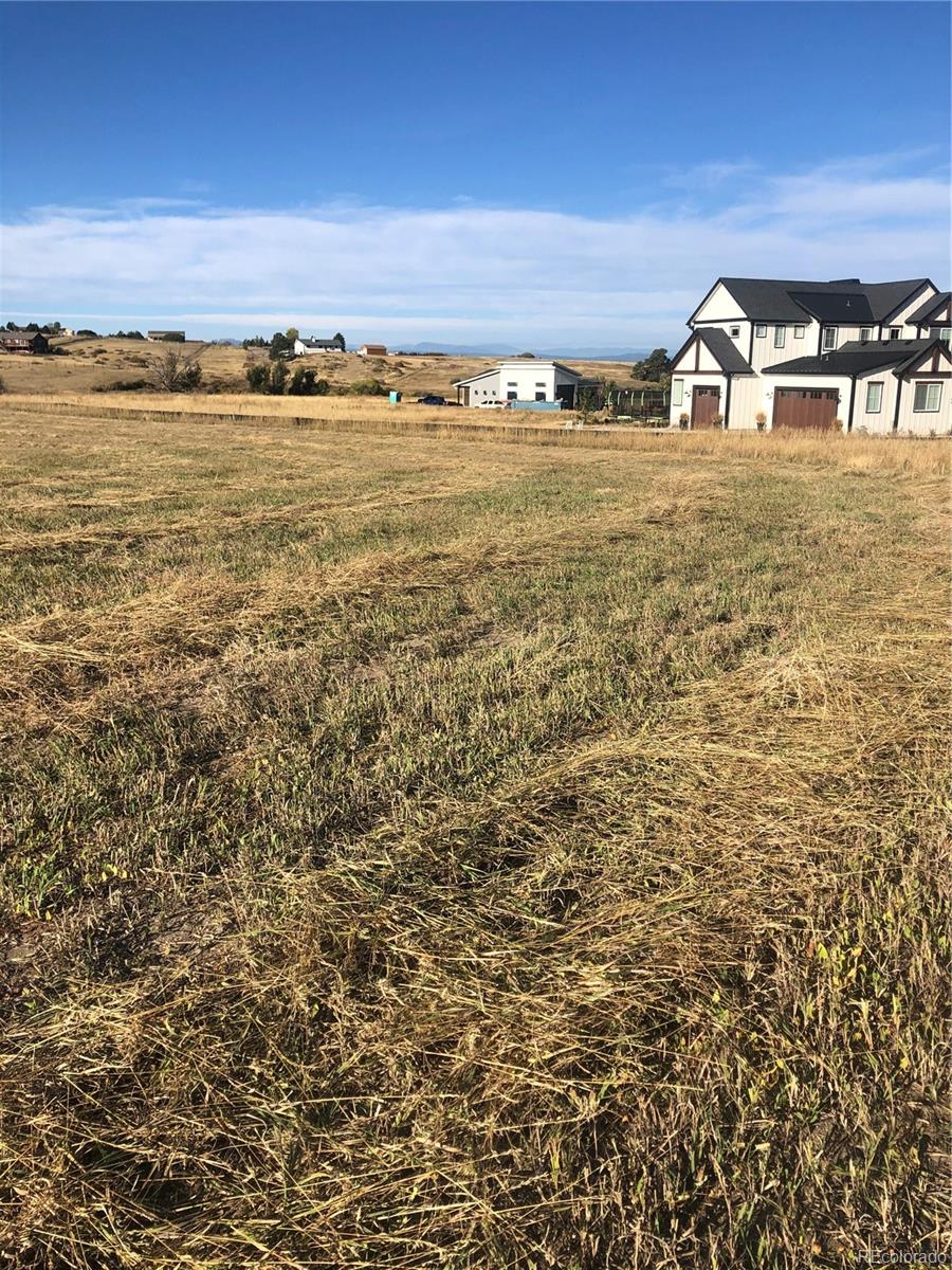 24 Red Kit Road Franktown, CO 80116 - Photo 7 of 11 Gallery Image 7