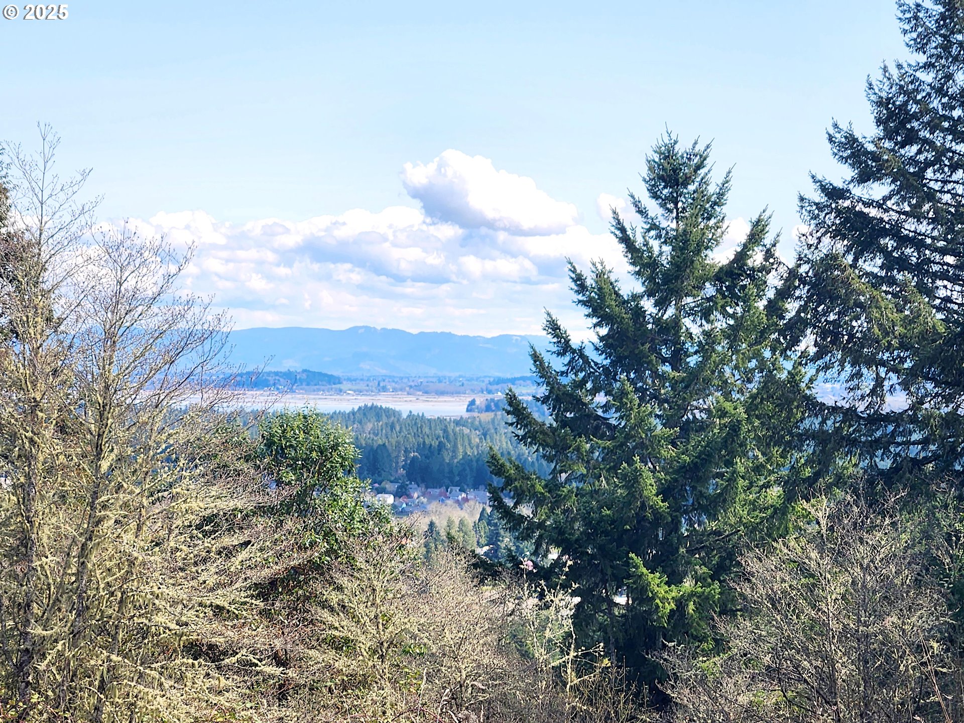 Bolton Hill Road North Veneta, OR 97487 - Photo 2 of 13 Gallery Image 2