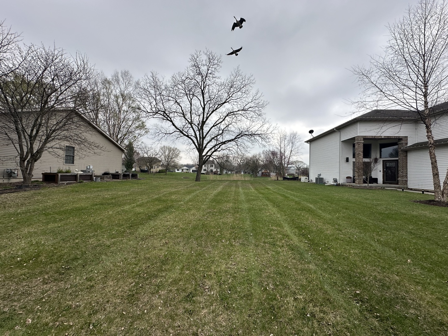 470 Logue Circle Seneca, IL 61360 - Photo 7 of 7