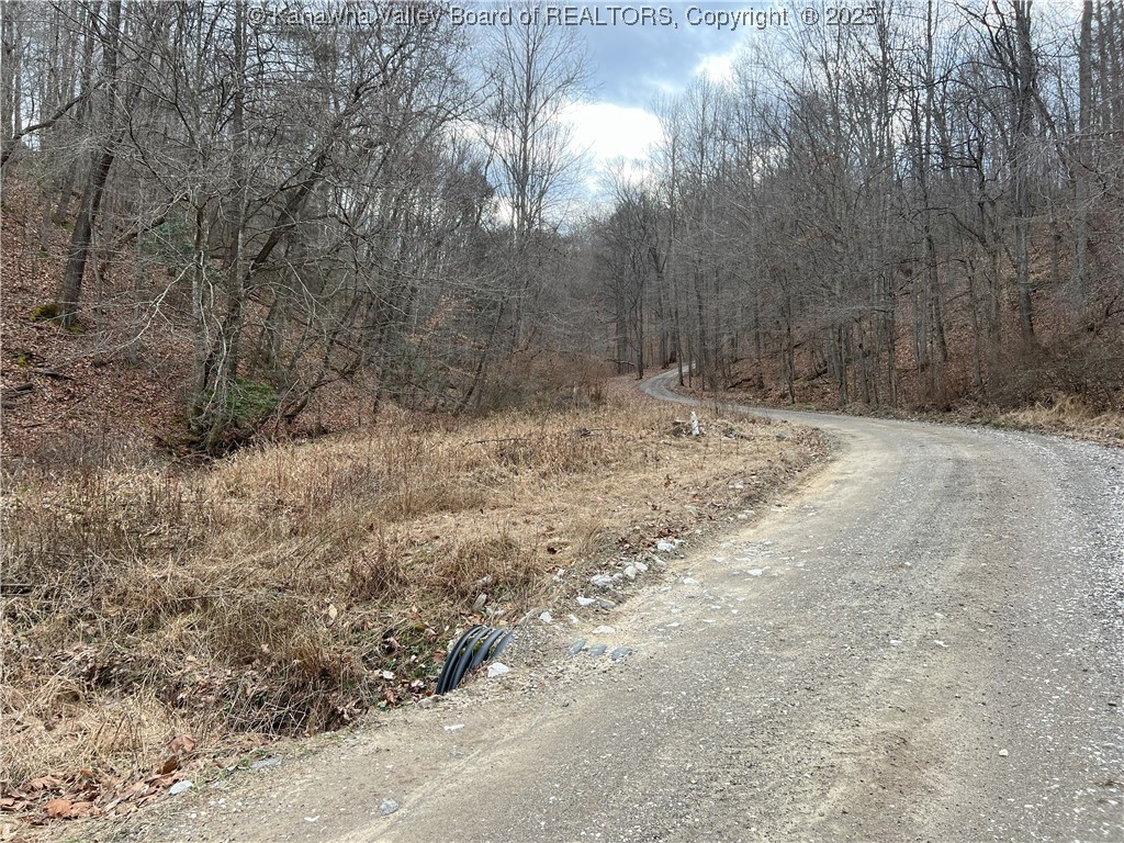 64 Upton Creek Road Spurlockville, WV 25565 - Photo 5 of 29 Gallery Image 5