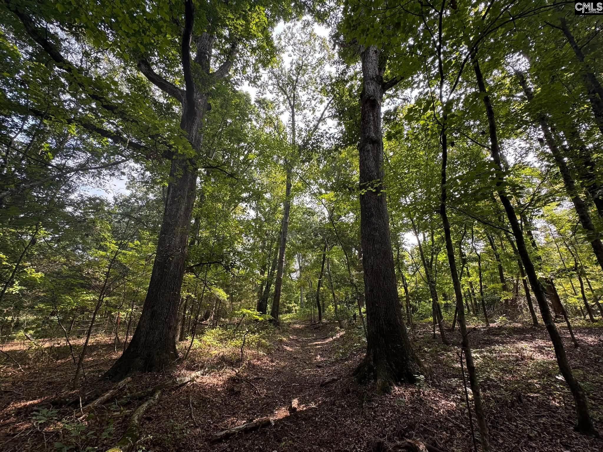 Pencreek Road Johnston, SC 29832 - Photo 2 of 59 Gallery Image 2
