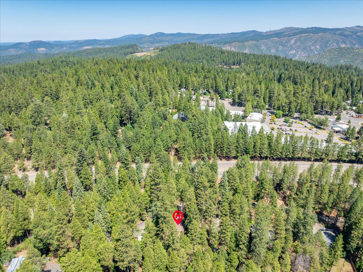 6470 Ridgeway Drive Pollock Pines, CA 95726 - Photo 56 of 57