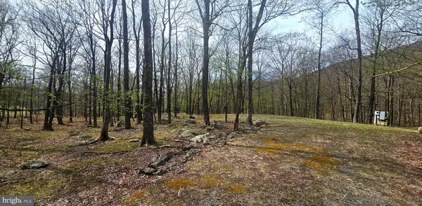 $57,500 | Goldenseal Road, Maysville, WV 26833