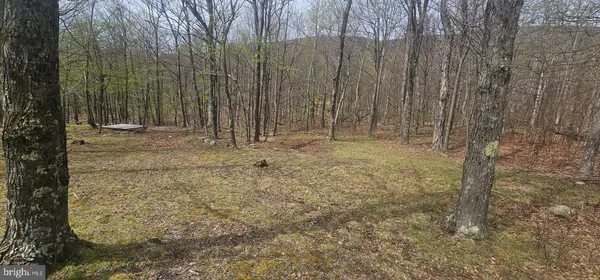 $57,500 | Goldenseal Road, Maysville, WV 26833