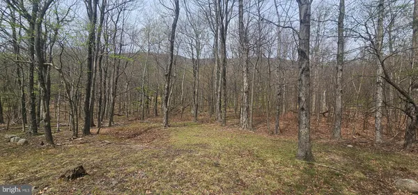 $57,500 | Goldenseal Road, Maysville, WV 26833