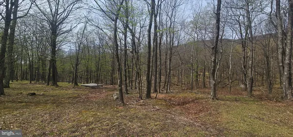 $57,500 | Goldenseal Road, Maysville, WV 26833