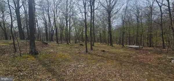 $57,500 | Goldenseal Road, Maysville, WV 26833