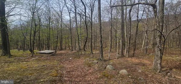 $57,500 | Goldenseal Road, Maysville, WV 26833