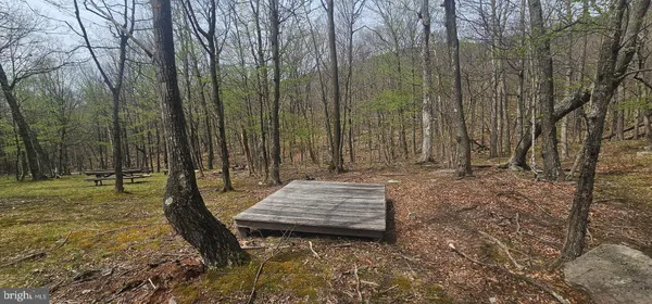 $57,500 | Goldenseal Road, Maysville, WV 26833