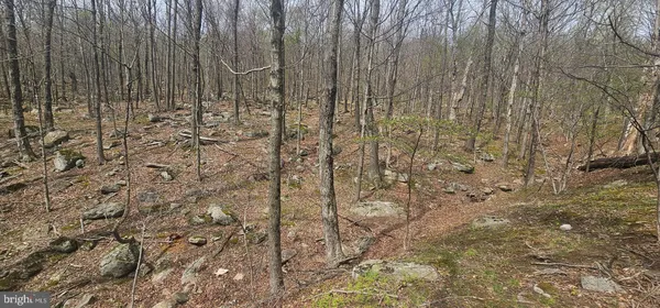 $57,500 | Goldenseal Road, Maysville, WV 26833