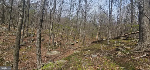 $57,500 | Goldenseal Road, Maysville, WV 26833