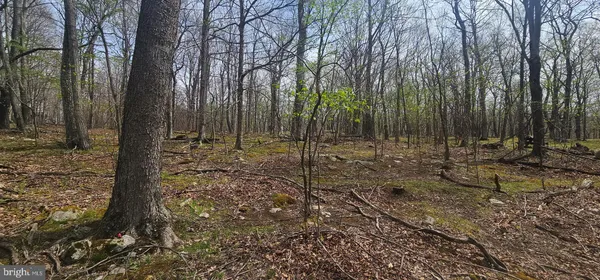 $57,500 | Goldenseal Road, Maysville, WV 26833