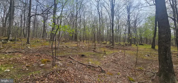 $57,500 | Goldenseal Road, Maysville, WV 26833