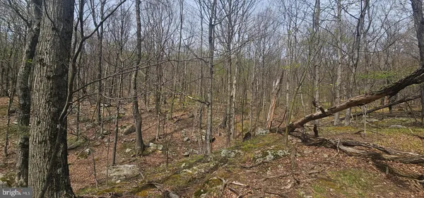 $57,500 | Goldenseal Road, Maysville, WV 26833