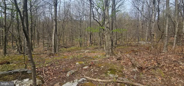 $57,500 | Goldenseal Road, Maysville, WV 26833