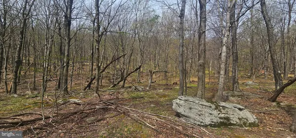 $57,500 | Goldenseal Road, Maysville, WV 26833