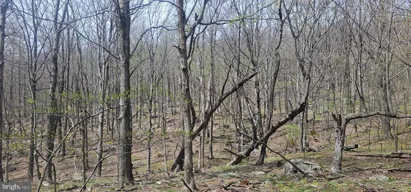 $57,500 | Goldenseal Road, Maysville, WV 26833