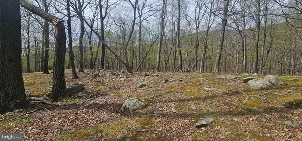 $57,500 | Goldenseal Road, Maysville, WV 26833