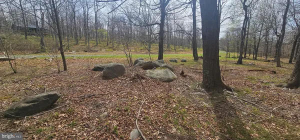 $57,500 | Goldenseal Road, Maysville, WV 26833