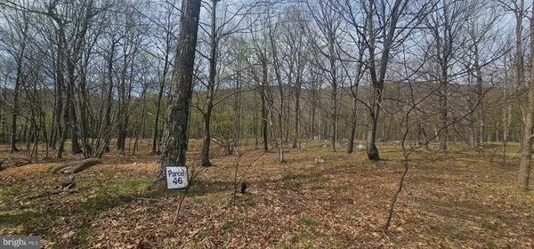 $57,500 | Goldenseal Road, Maysville, WV 26833