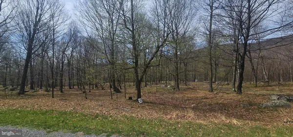 $57,500 | Goldenseal Road, Maysville, WV 26833