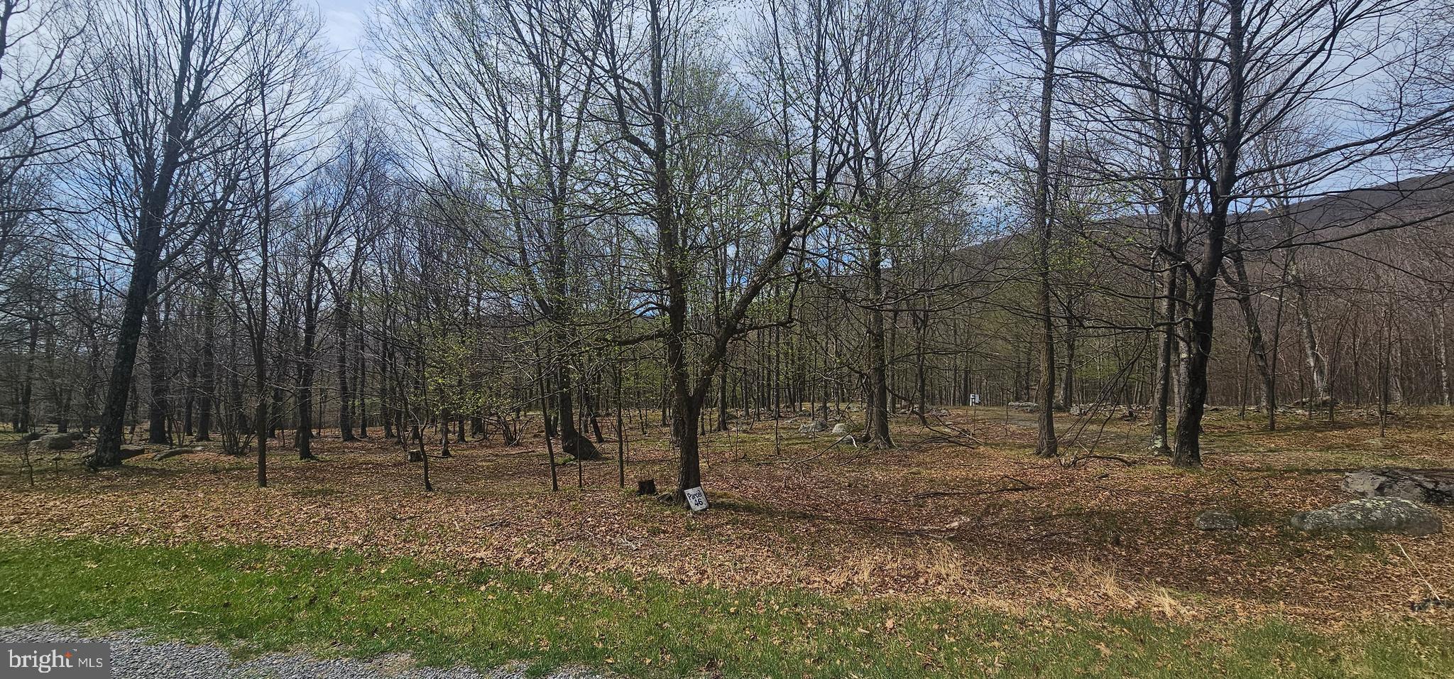 Goldenseal Road Maysville, WV 26833 - Photo 28 of 34