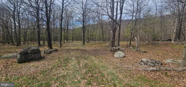 $57,500 | Goldenseal Road, Maysville, WV 26833