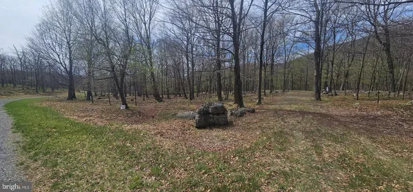 $57,500 | Goldenseal Road, Maysville, WV 26833