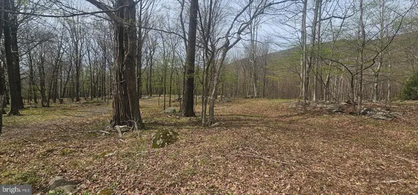 $57,500 | Goldenseal Road, Maysville, WV 26833
