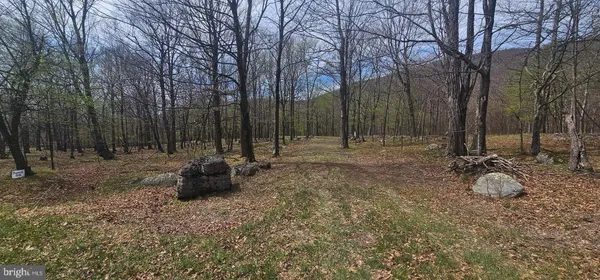 $57,500 | Goldenseal Road, Maysville, WV 26833