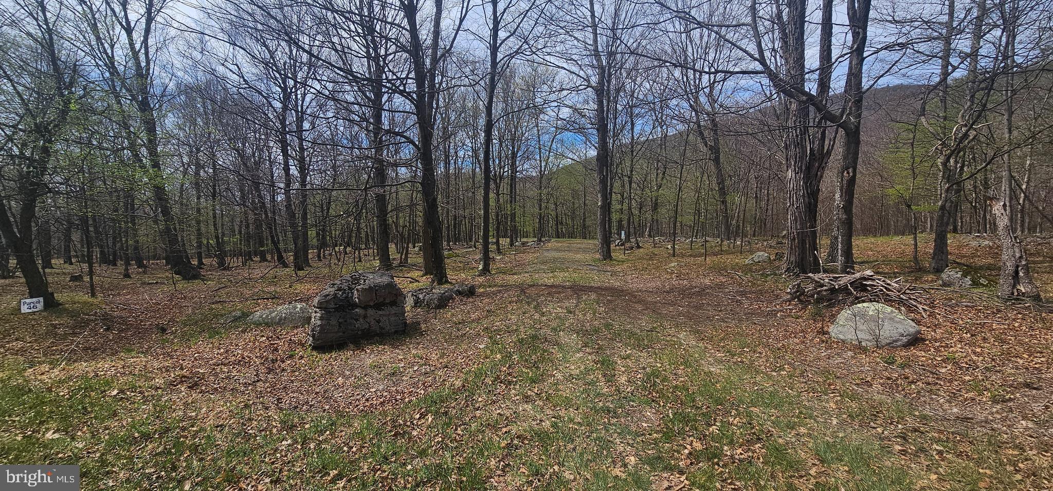 Goldenseal Road Maysville, WV 26833 - Photo 31 of 34