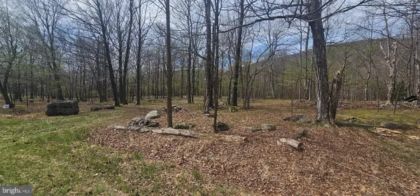 $57,500 | Goldenseal Road, Maysville, WV 26833