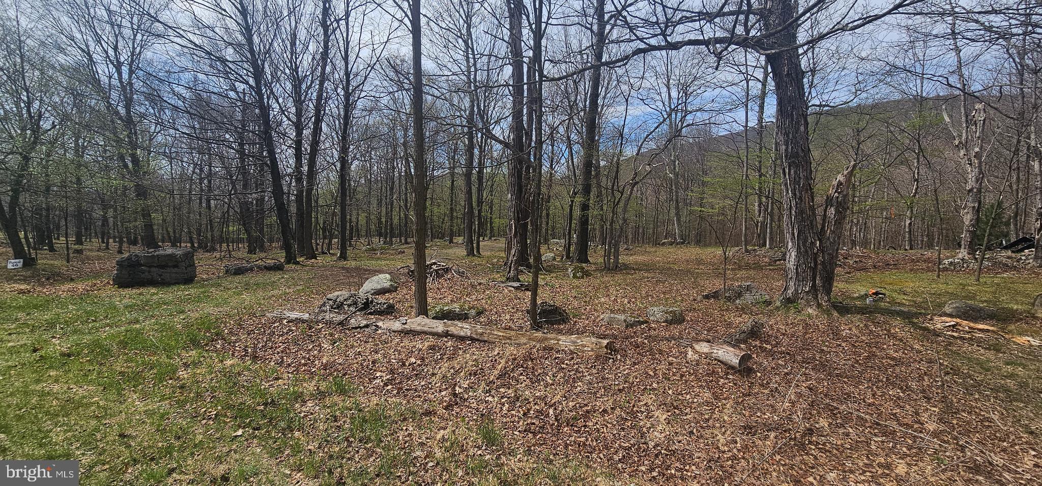 Goldenseal Road Maysville, WV 26833 - Photo 32 of 34