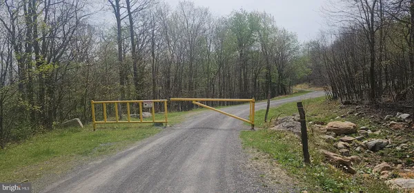 $57,500 | Goldenseal Road, Maysville, WV 26833