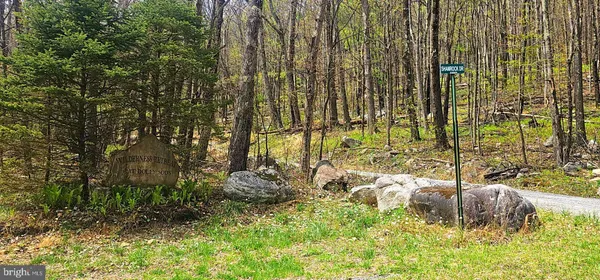 $57,500 | Goldenseal Road, Maysville, WV 26833