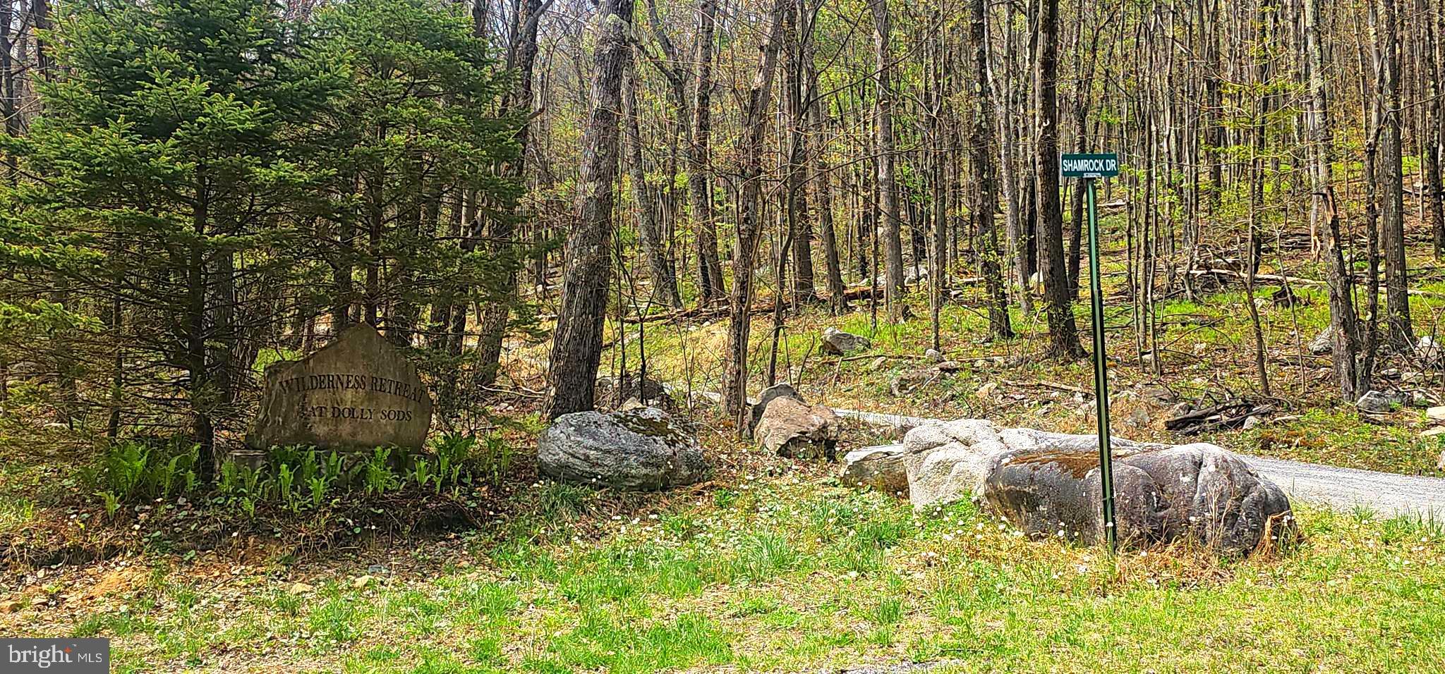 Goldenseal Road Maysville, WV 26833 - Photo 34 of 34