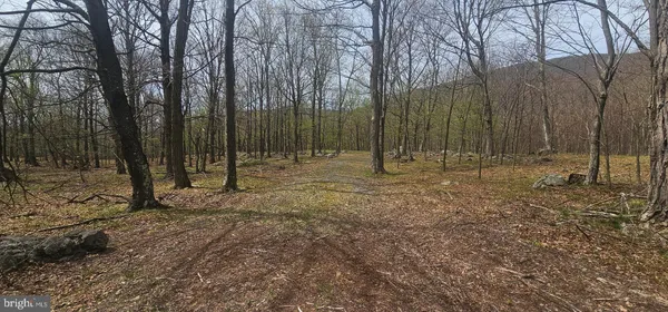 $57,500 | Goldenseal Road, Maysville, WV 26833