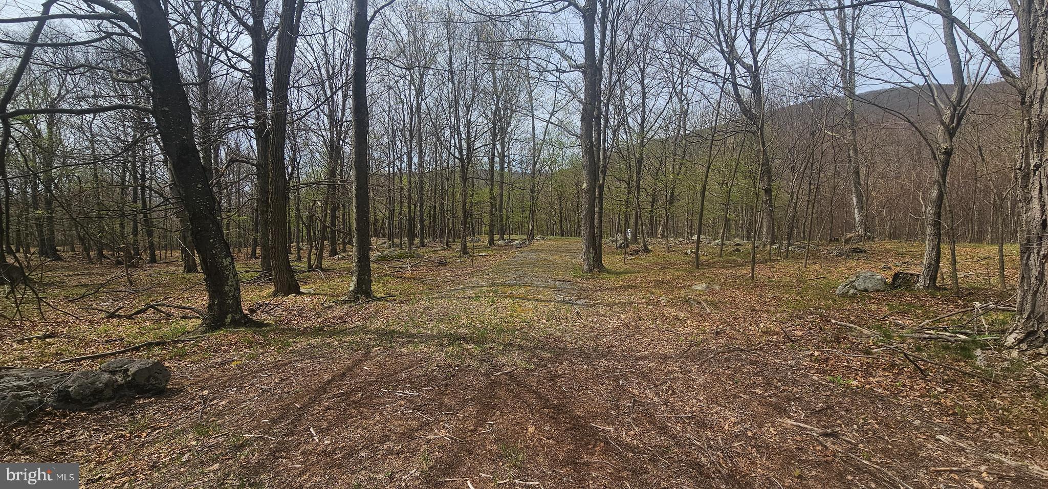 Goldenseal Road Maysville, WV 26833 - Photo 5 of 34